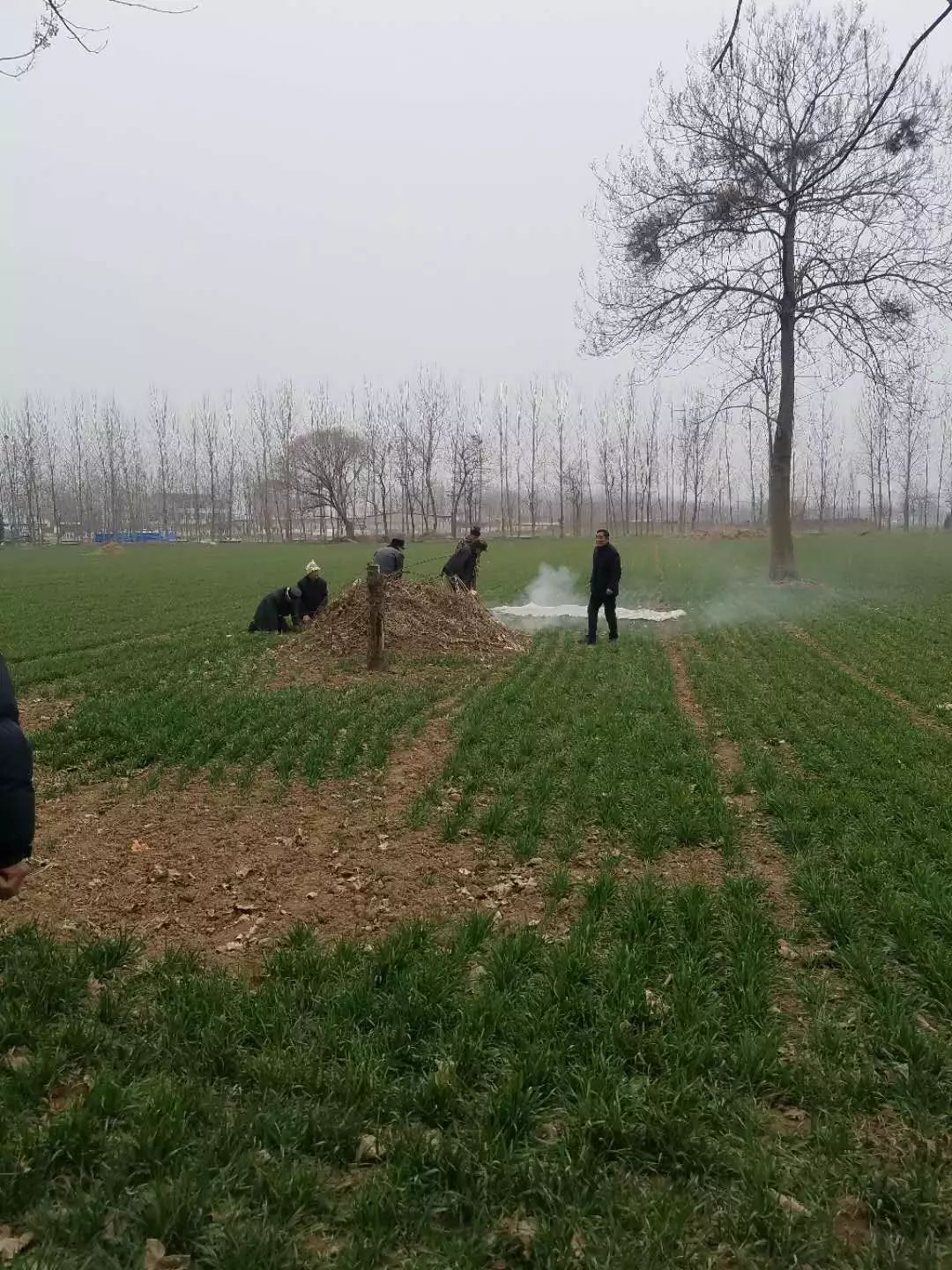 微信图片_20230125113948.jpg