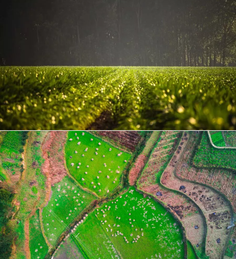 1718258980148208.png image.png