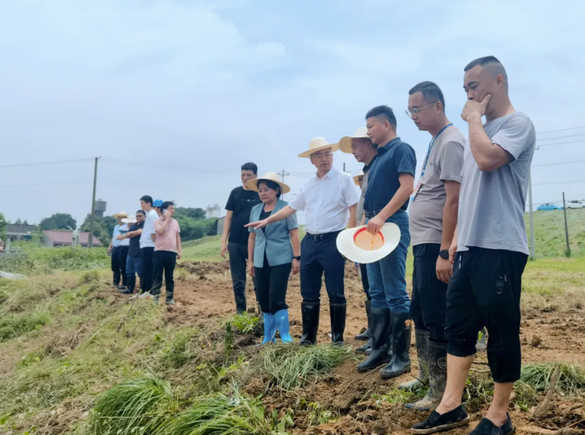 1720158880377543.png image.png