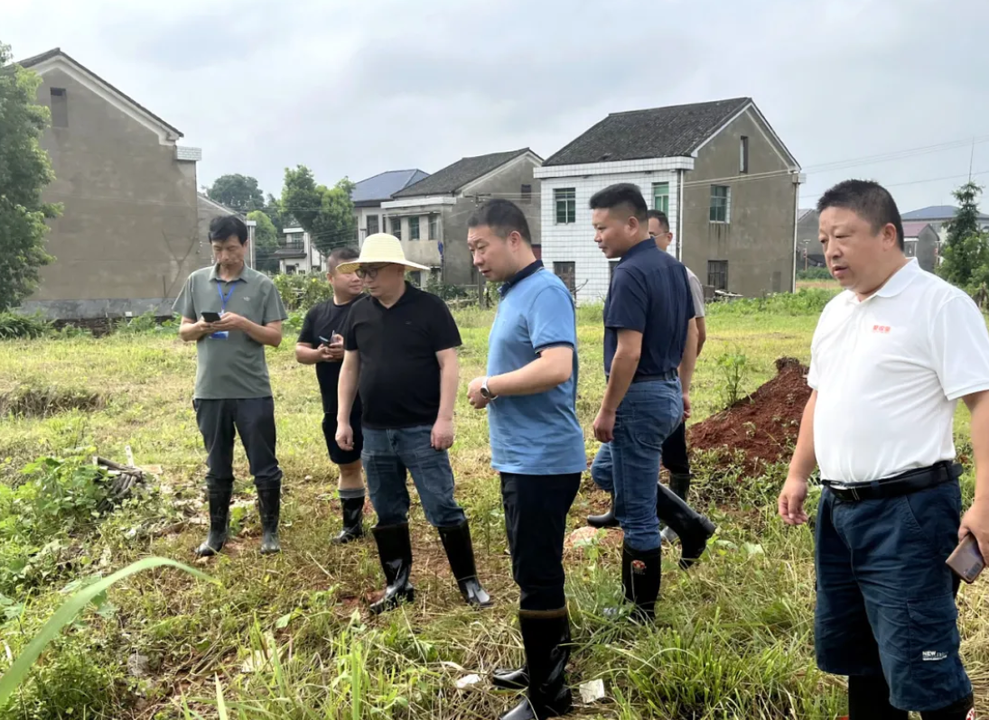 1720158905467051.png image.png