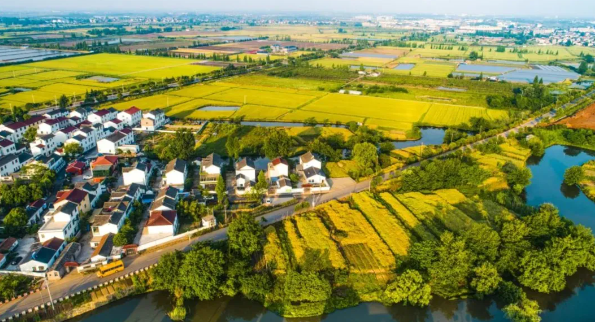 1721536941611389.png image.png