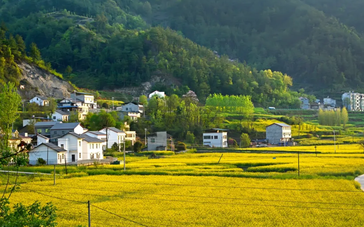 1721537496739887.png image.png