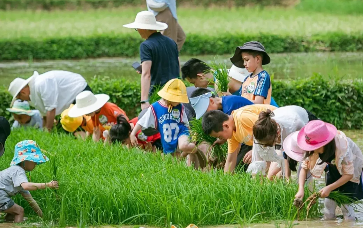 1721537540303542.png image.png