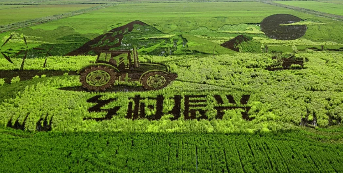 1721537892382580.png image.png