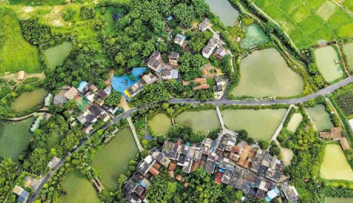 1722220031892012.png image.png