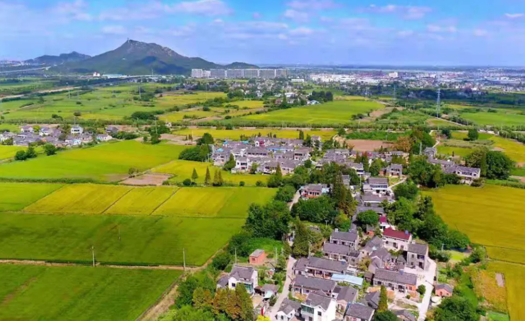 1722220192866213.png image.png