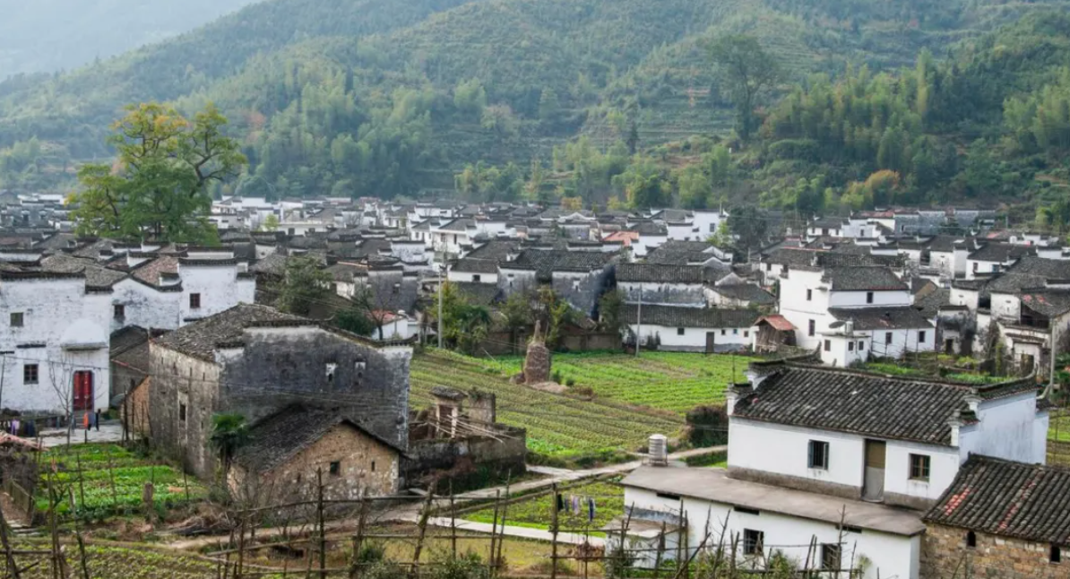 1722220210499316.png image.png