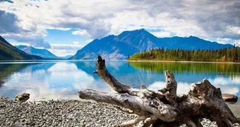 1732688010533356.png image.png