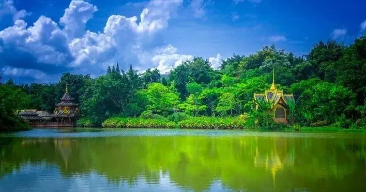 1732688305279737.png image.png