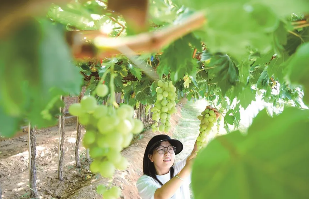 1732689797818732.png image.png