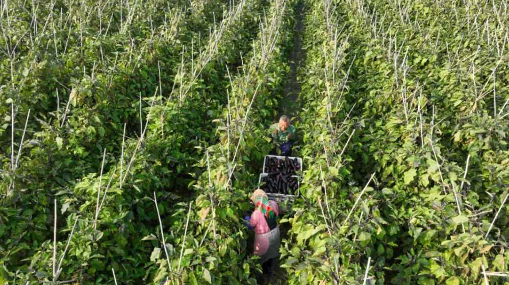 1732689838750301.png image.png