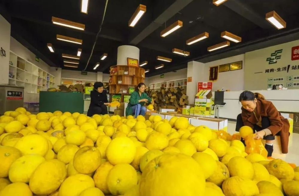 1732689864572485.png image.png