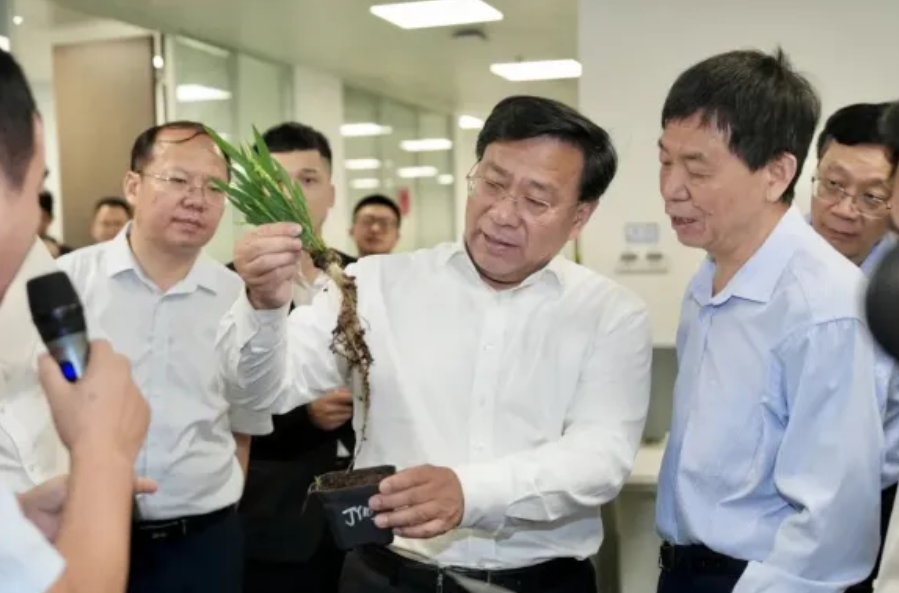 1736564398501789.png image.png