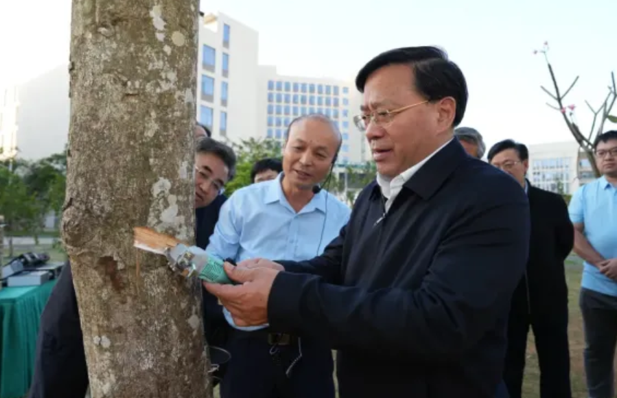 1736564415357648.png image.png