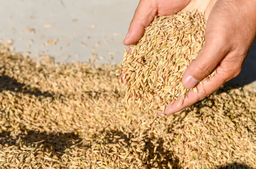 1736567288808214.png image.png