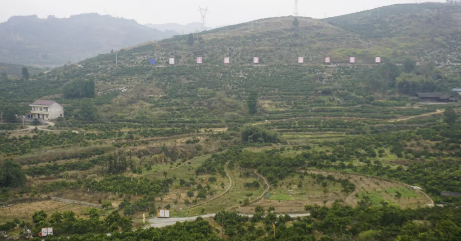 1736570783271319.png image.png